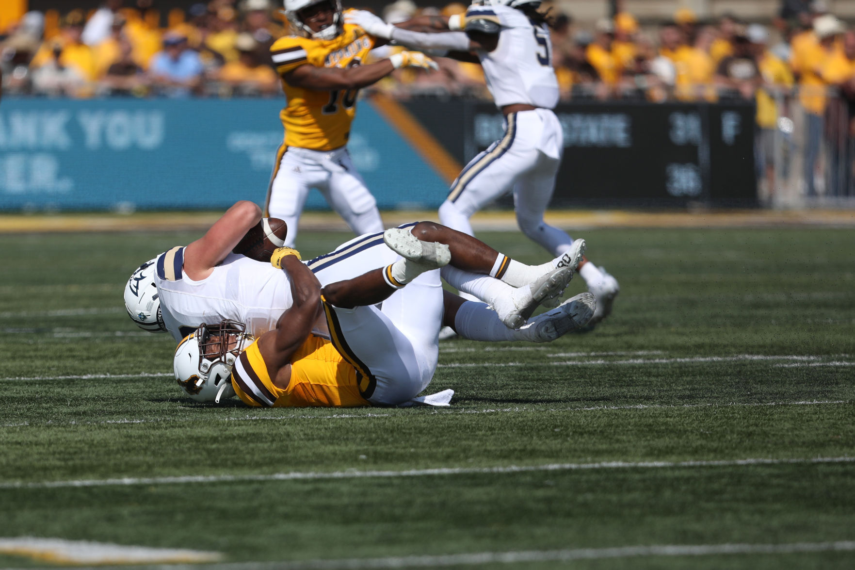 UW v. Montana